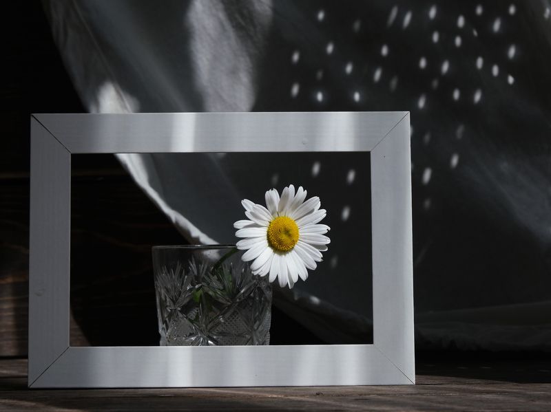 Летнее настроение  фото превью