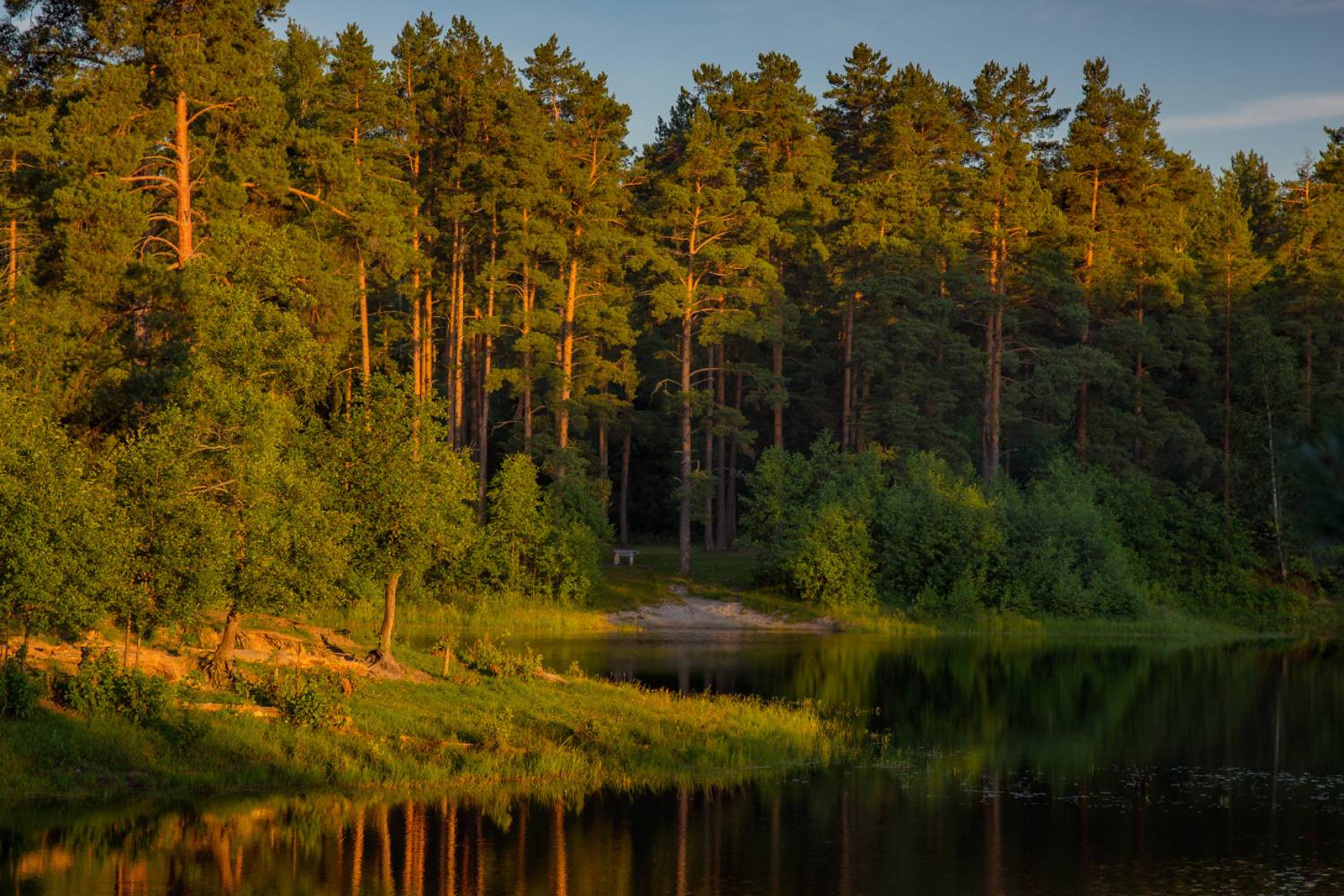 серково саврасово июнь вечер, Алексеев Дмитрий