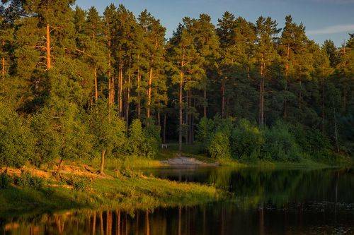 В закатных лучах