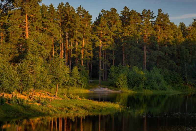 серково саврасово июнь вечер В закатных лучах фото превью