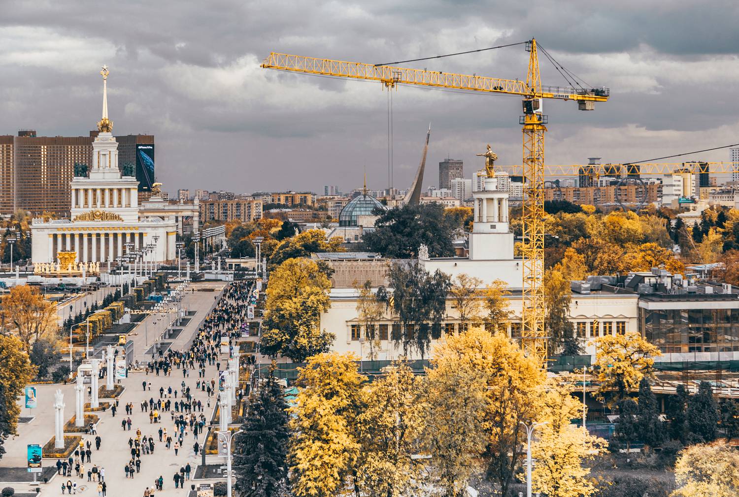 , Трепольский Дмитрий