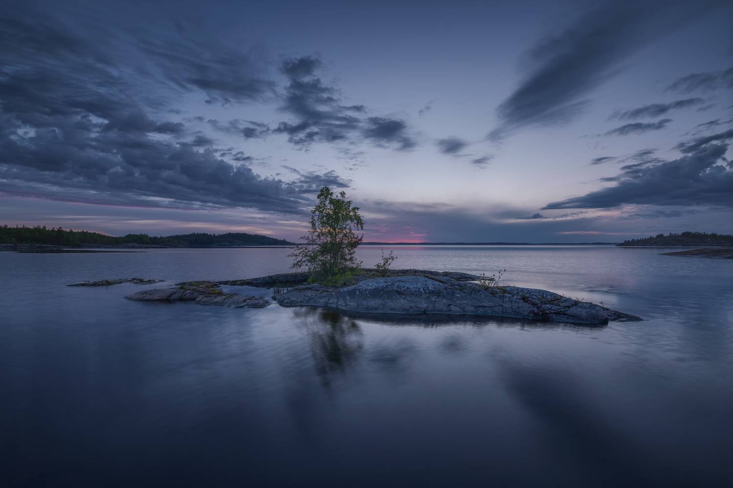 , Максим Евдокимов