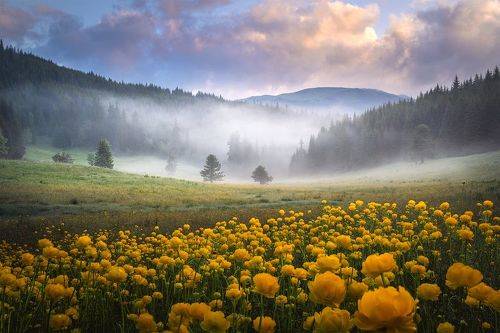 Rila mountain in June