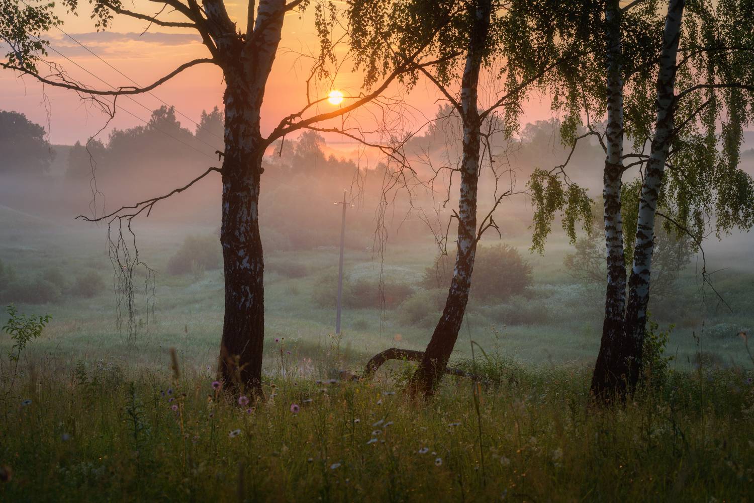 , Юлия Лаптева