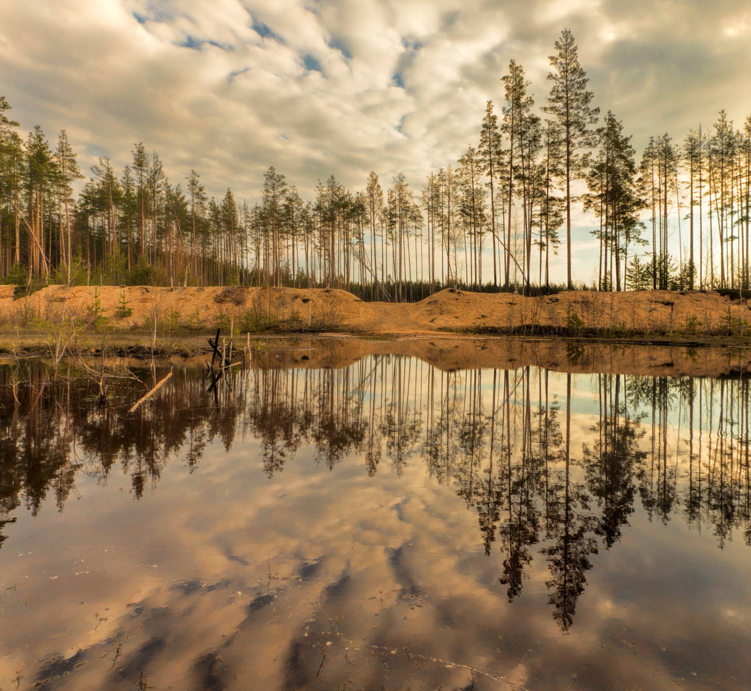 , Александр Смыков