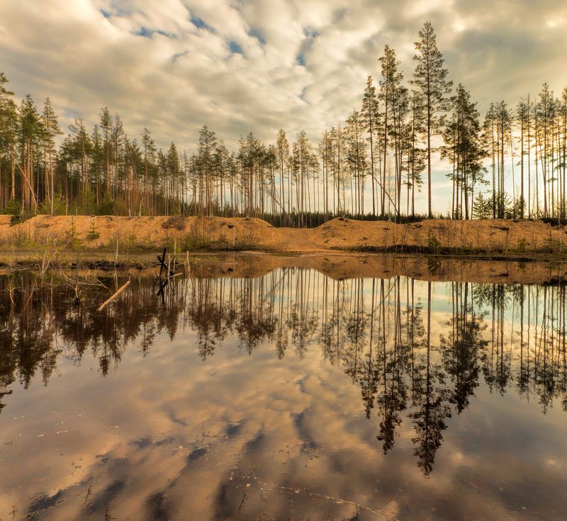 половодье фото превью
