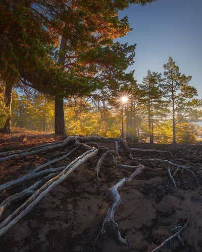 Лапохья, Финляндия