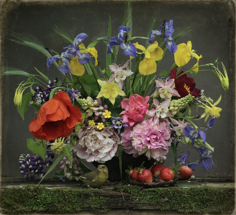 Июньское ассорти фото превью