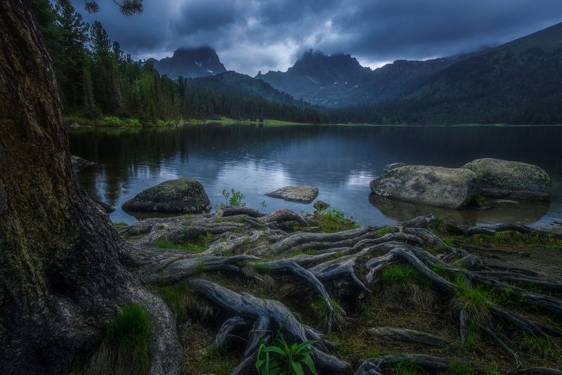 сумрак на Светлом фото превью