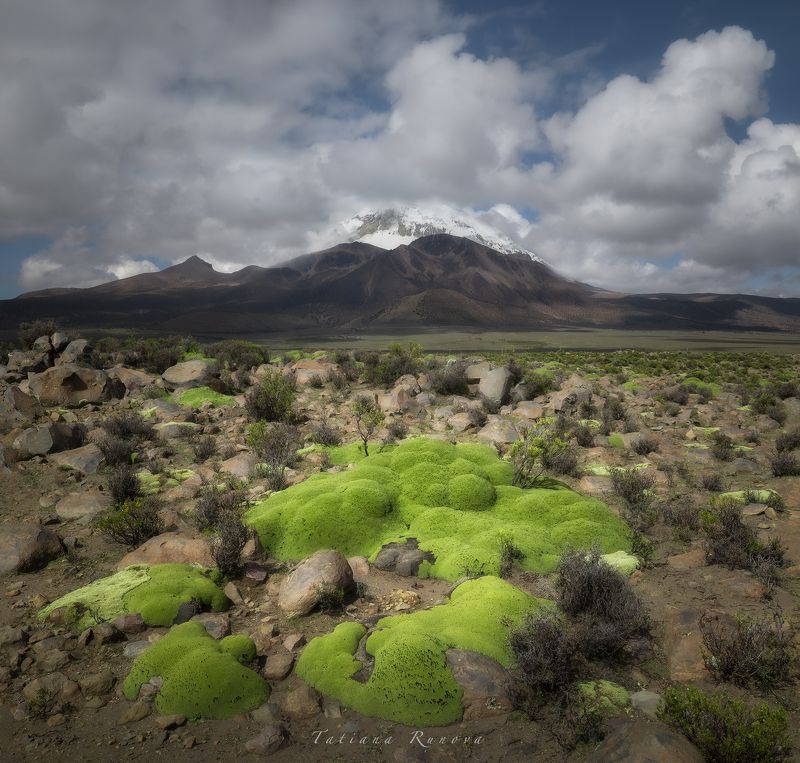 Вулкан Сахама и его окрестности. Боливия фото превью