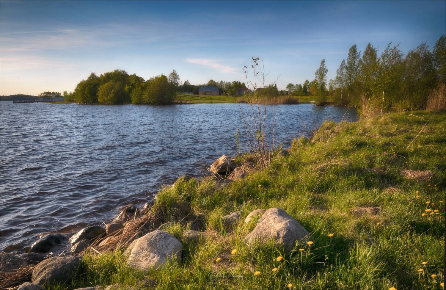 озеро трава цветы деревья, Вера Петри