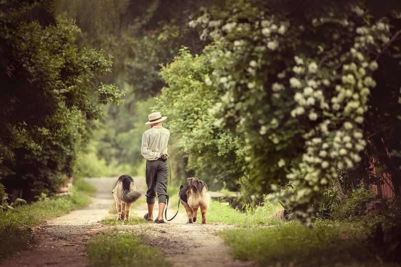 фото превью
