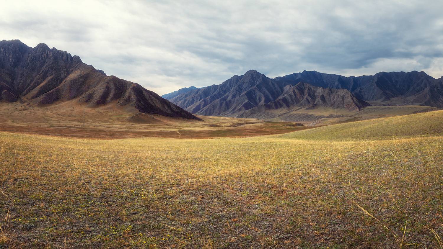 , Рагинская Ольга