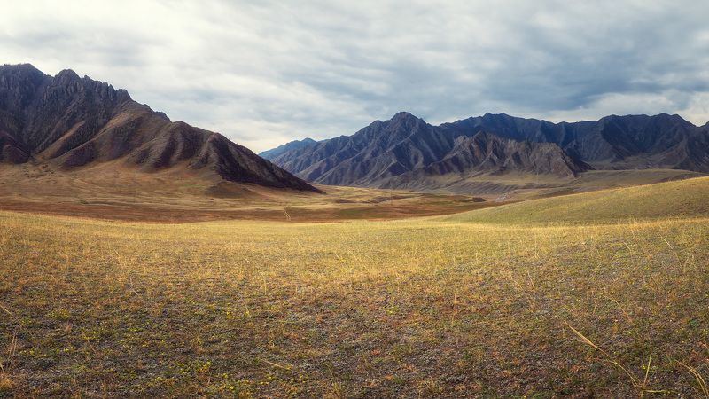 Тишина фото превью