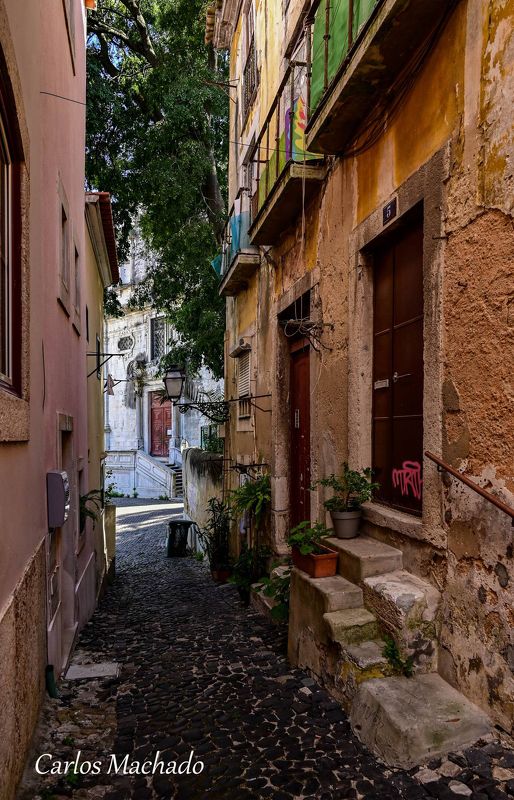 Street, Reportage, Old City Streets of Lisboa фото превью