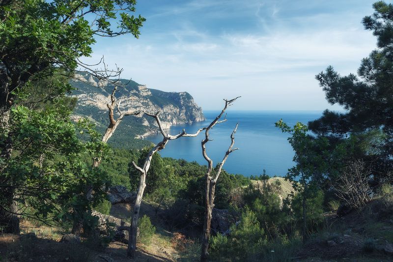 крым, балаклава, мыс айя, горы, море Весенняя Балаклава. Май. фото превью