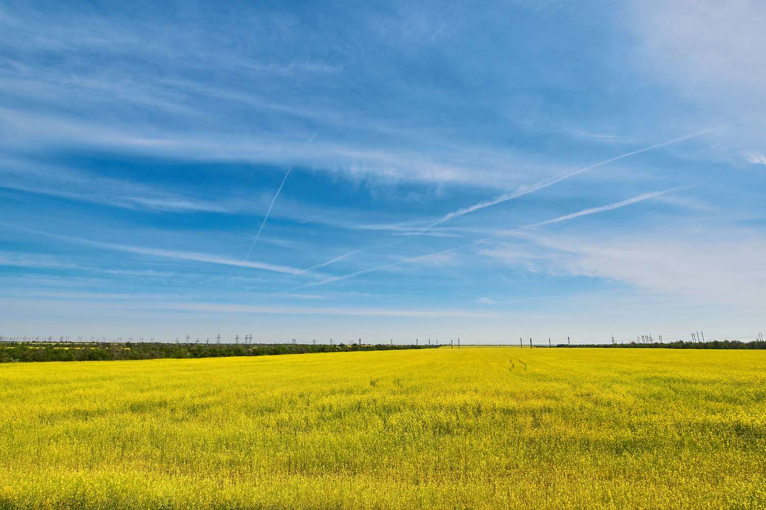 russia, wildlife, landscapes, , Павел Сторчилов
