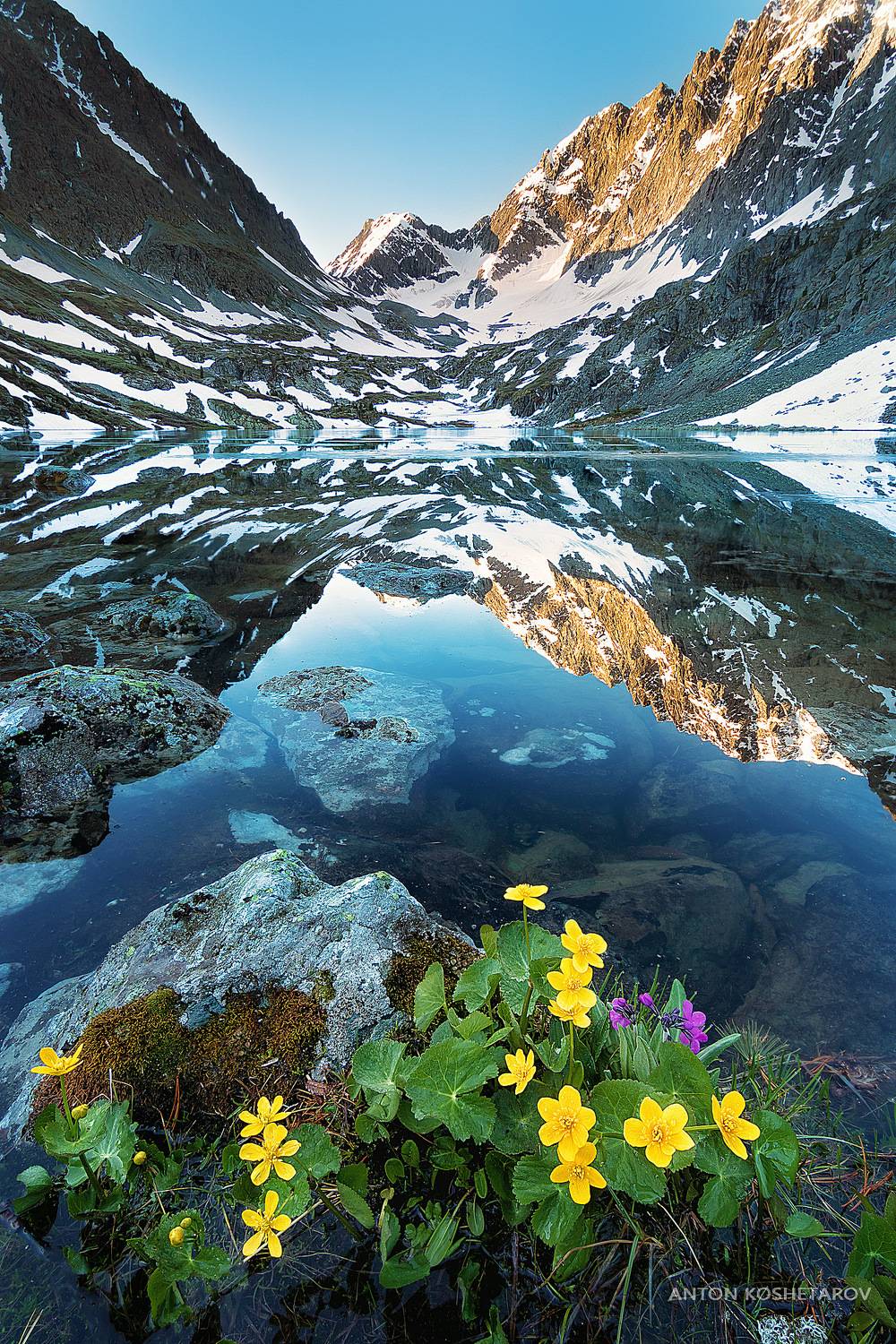 , Антон Кошетаров