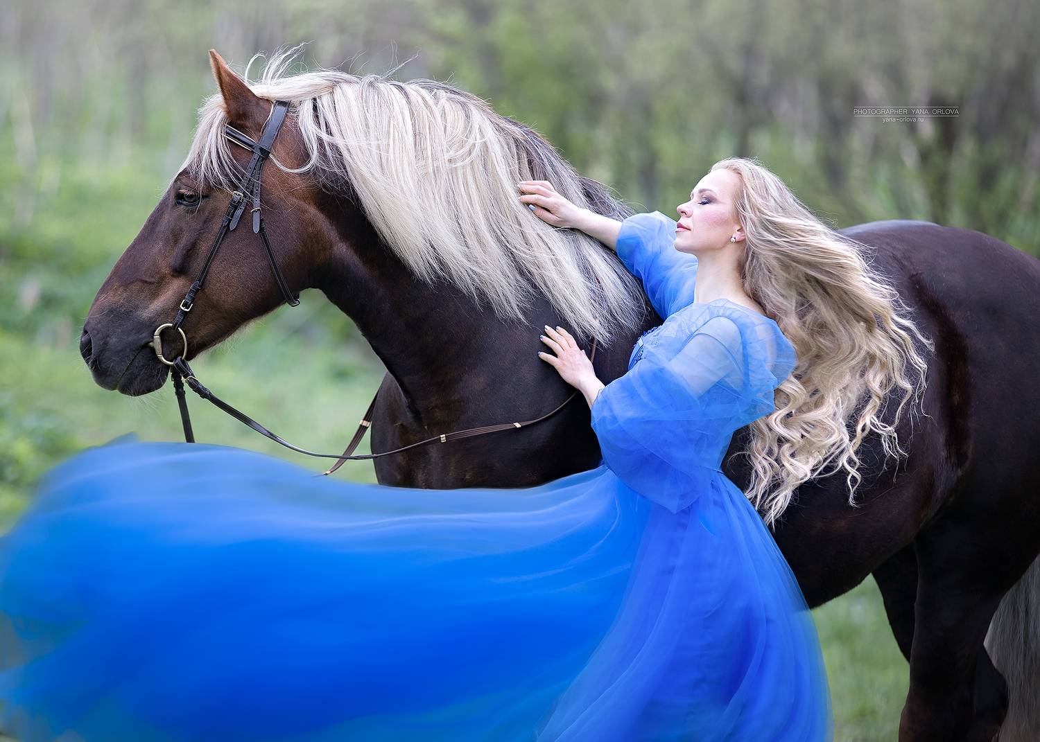 horse, horses, лошадь, конь, конныйфотограф, кэнон, canon, 7020028, лошади, конный фотограф Яна Орлова, фотографияслошадью, фотосессияслошадью, фотосессиислошадьми, коннаяфотография, pferd, horsephotographer, женский портрет, девушка , Яна Орлова