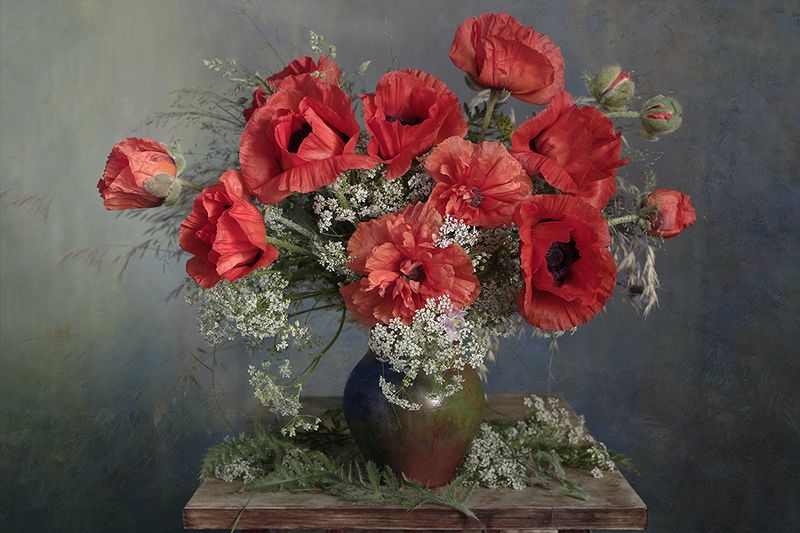 Обворожительные маки фото превью