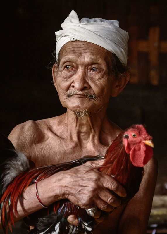 Old man with a bird фото превью