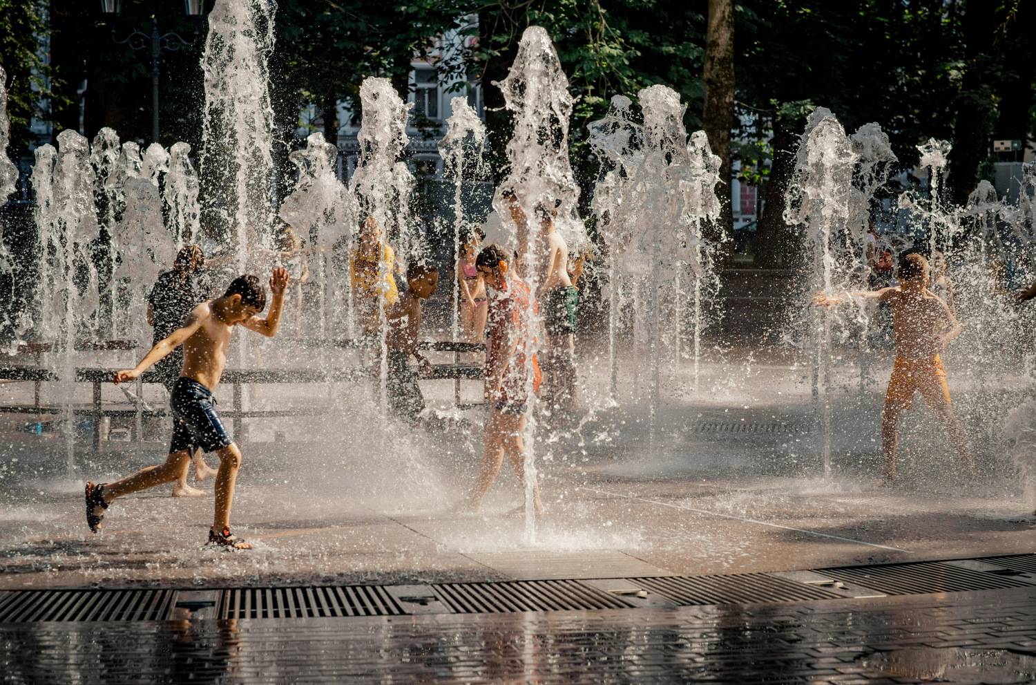 , Николай Смолянкин