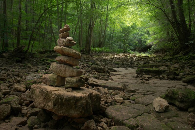 рагуша, бокситогорский район, ленинградская область, джунгли, папоротники Долина реки Рагуша фото превью