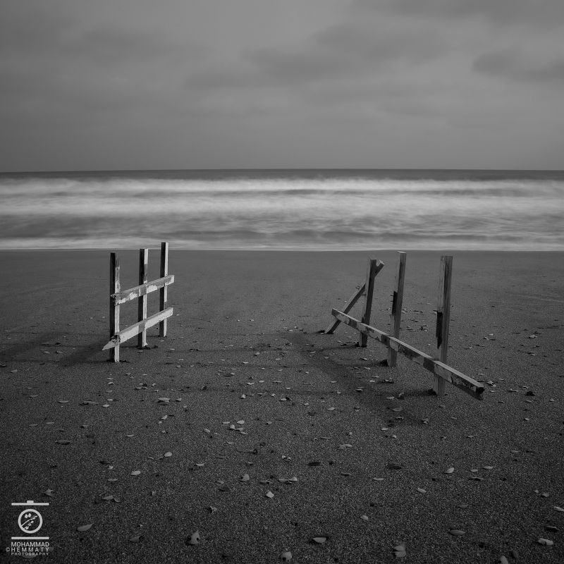 Beach , leafs фото превью