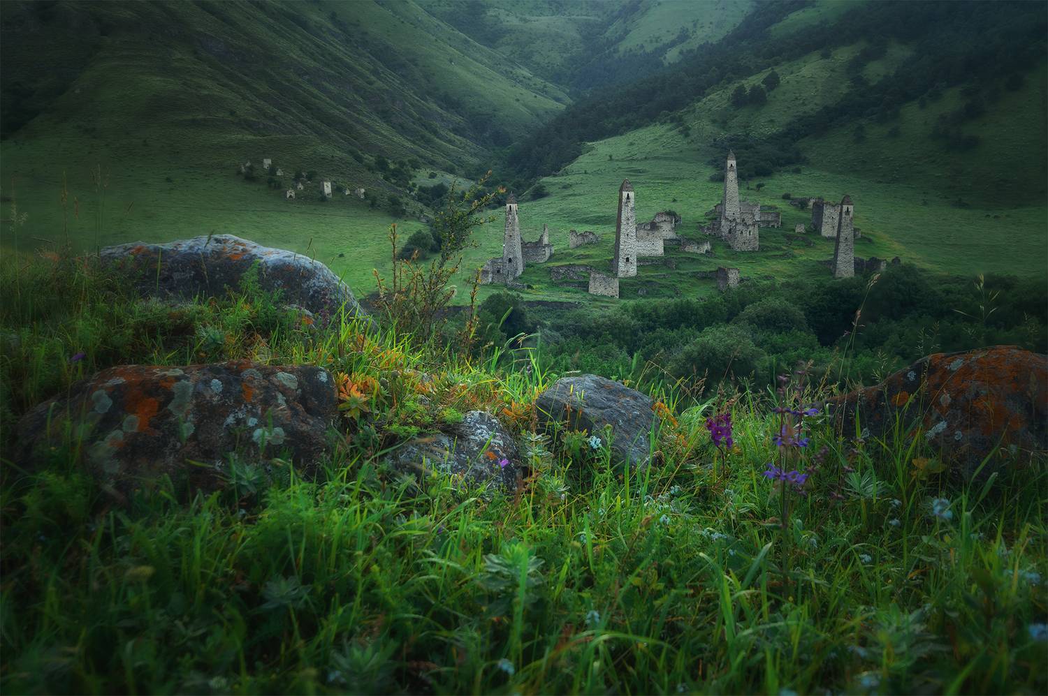 , Колобов Николай