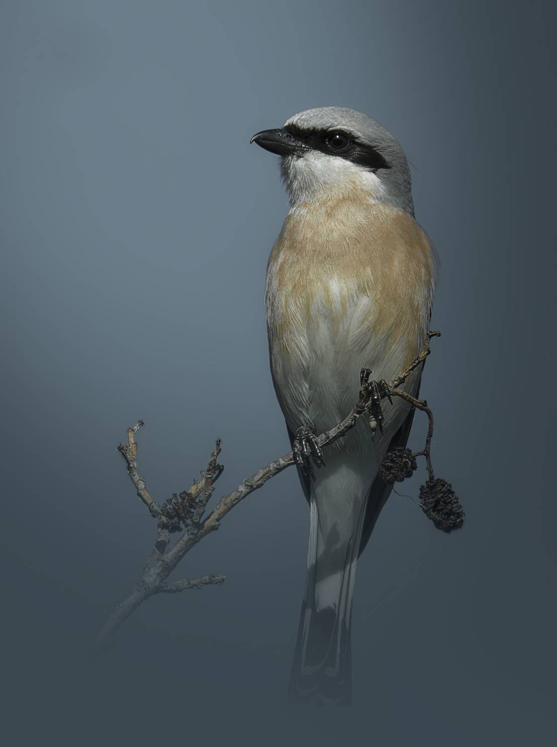 , Фото Александр