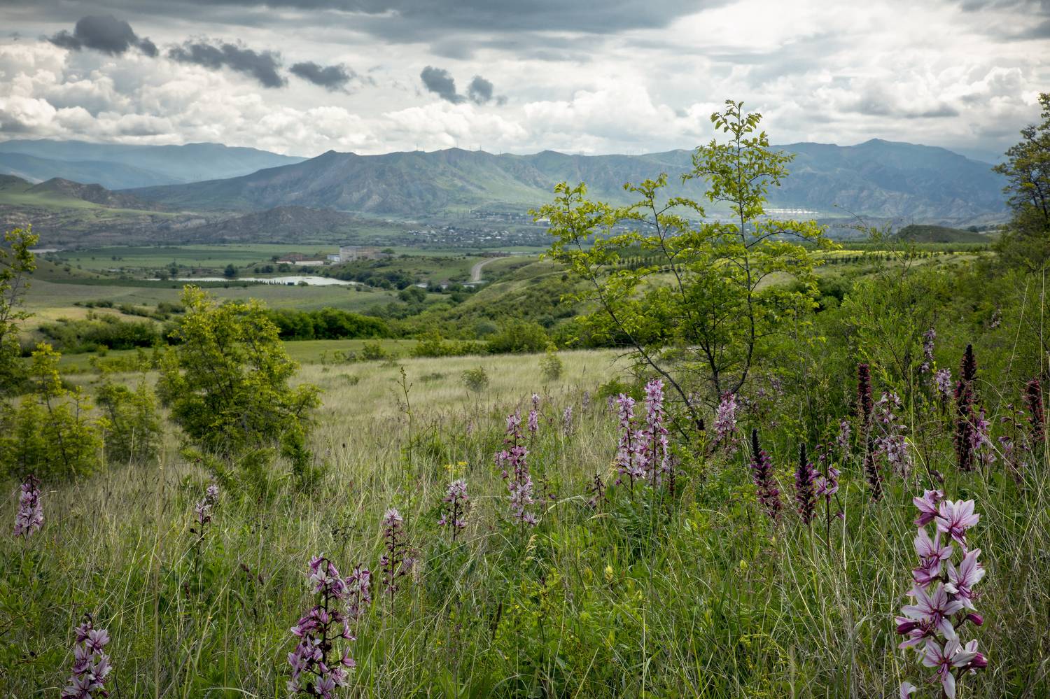 , Горбачева Маментьева Татьяна