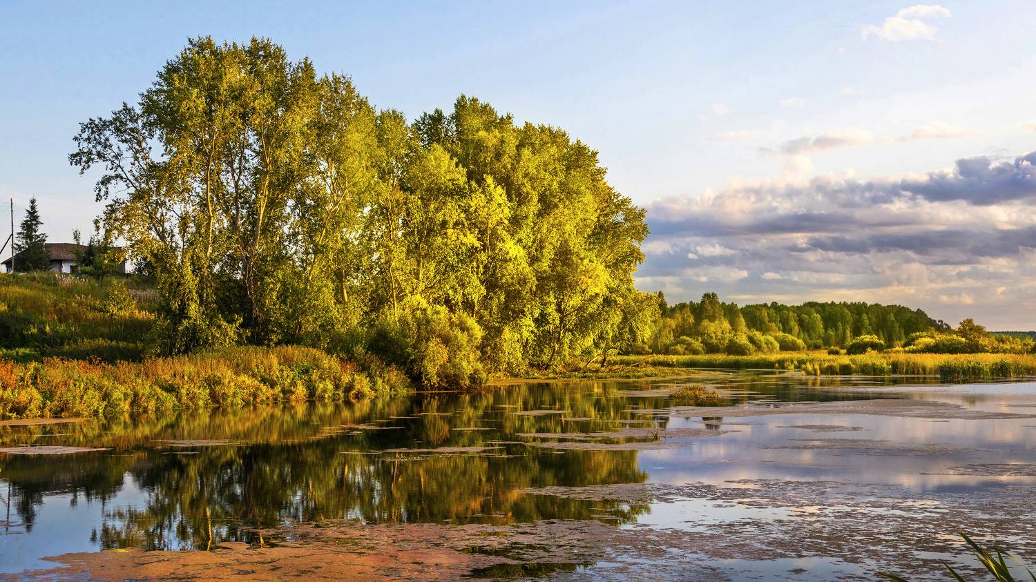 , Ушаков Валерий