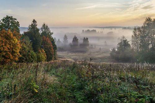 Осеннее утро
