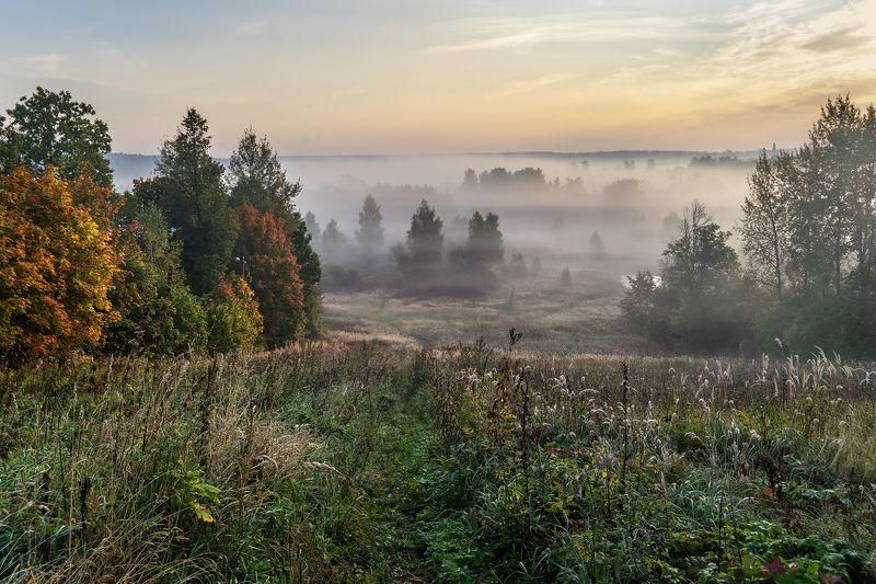 Осеннее утро фото превью
