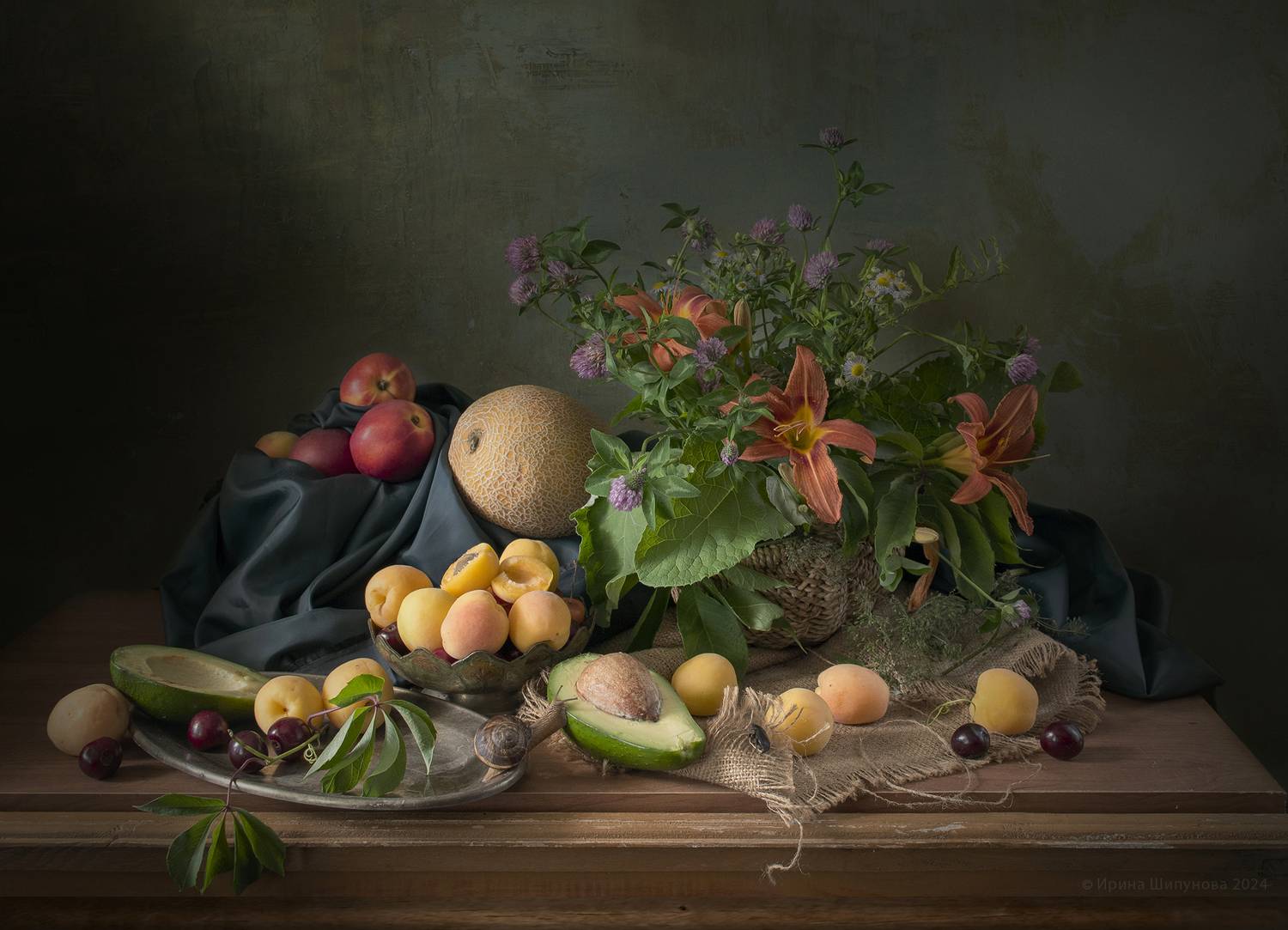 , Шипунова Ирина