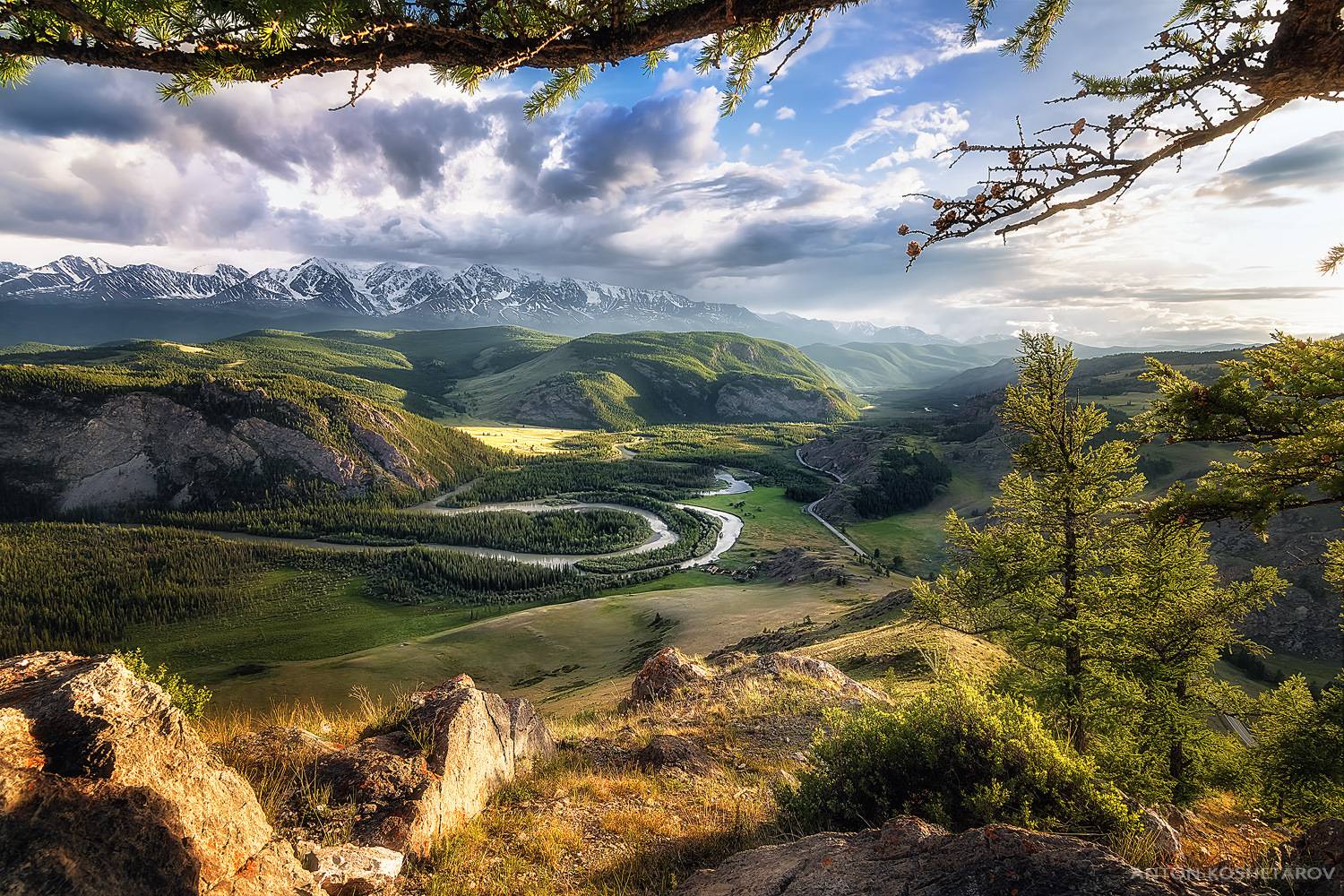 , Антон Кошетаров