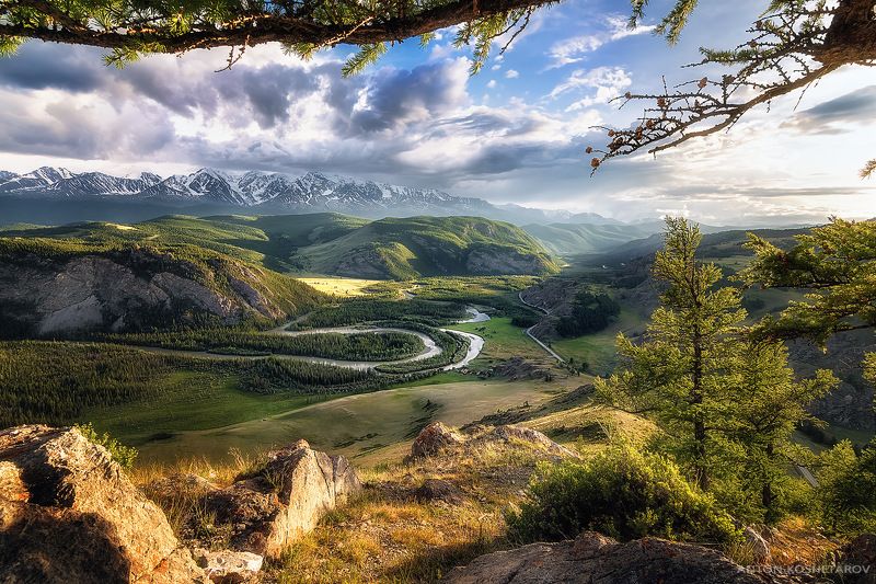 Чуйские мендры фото превью