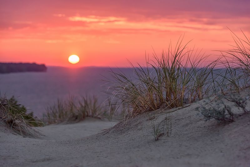 Дюна Эфа фото превью