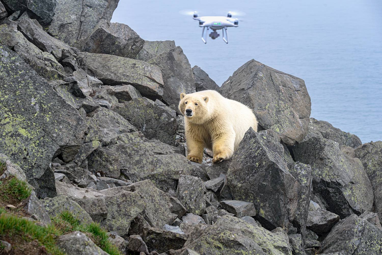 , Юрий Матвеев