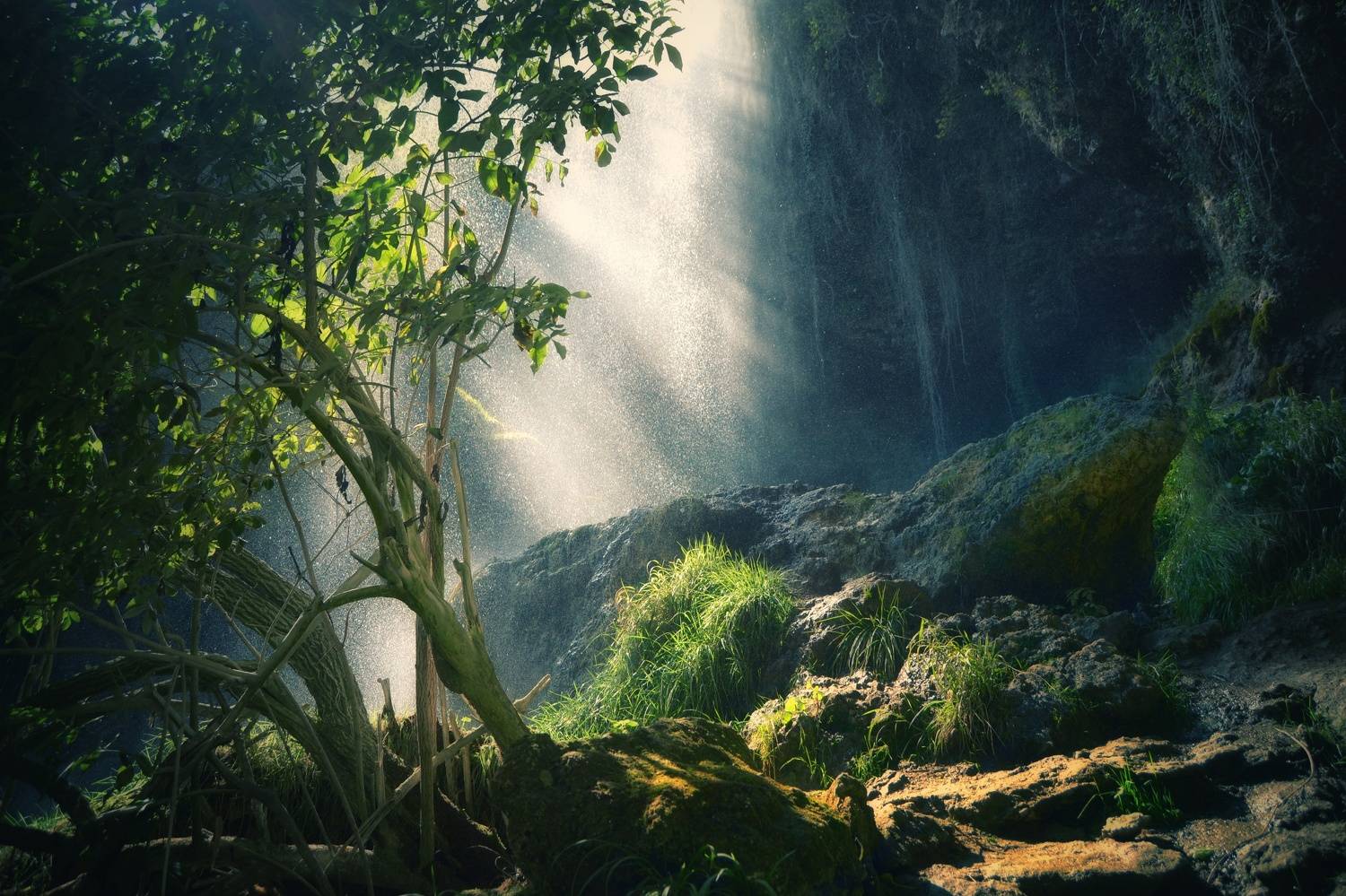 , Юлияна Стоянова