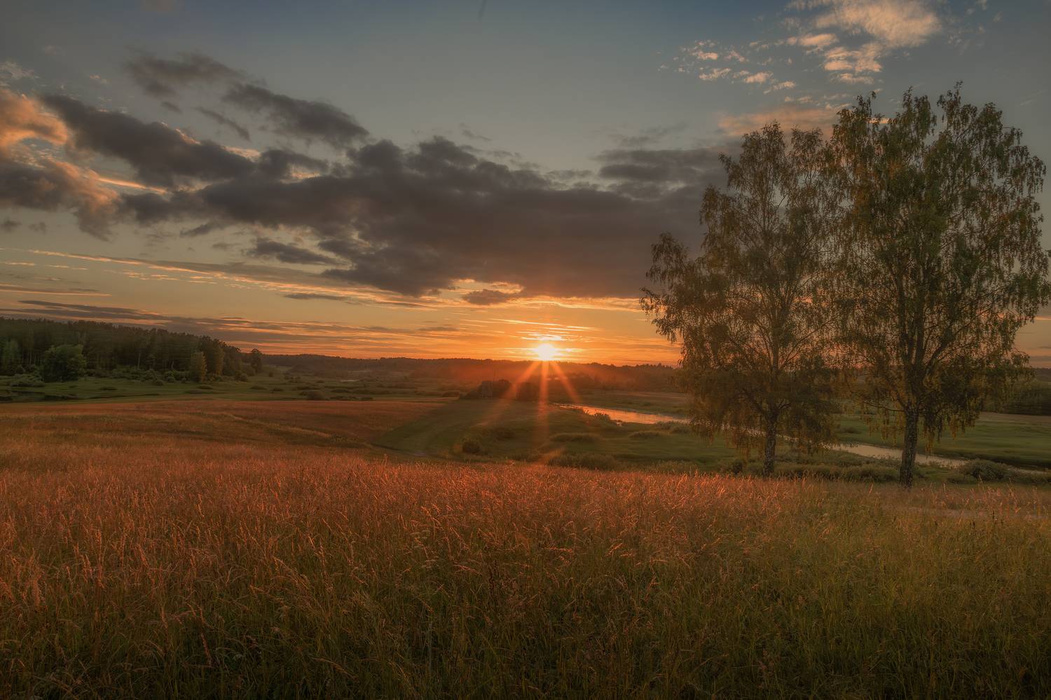 Псковская область, Гусева Елена