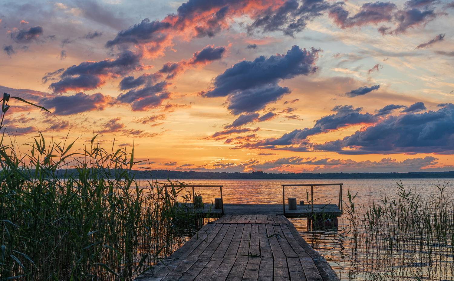 , Александр Смыков