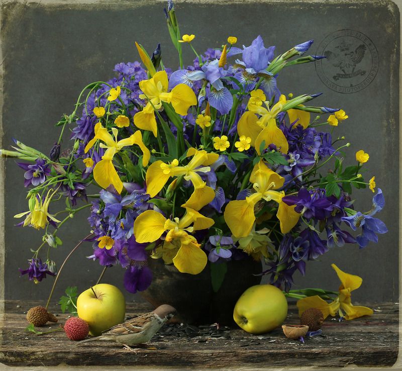 Лютики, касатики и др. фото превью