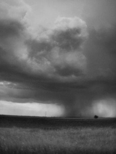 Летний ливень.