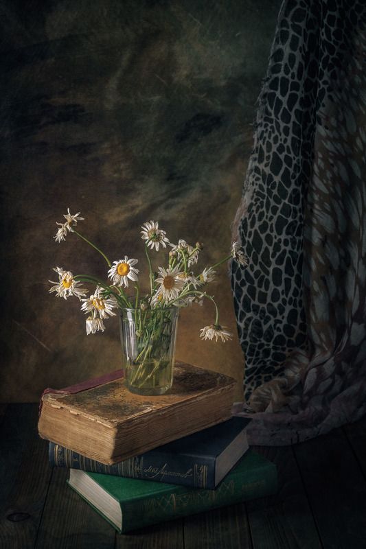 Увядающие ромашки фото превью