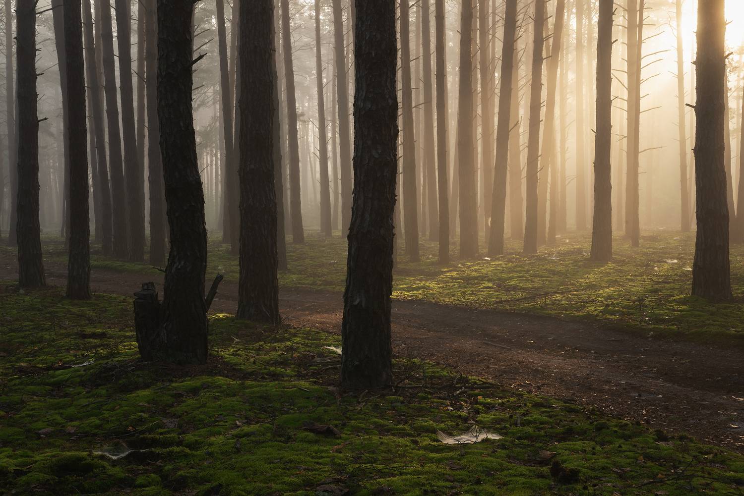 , Захаров Дмитрий