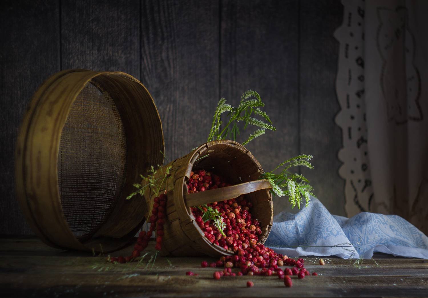 , Хвойнова Елена