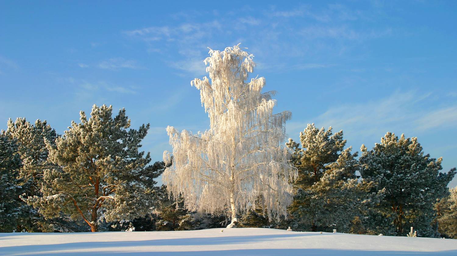 , Ушаков Валерий