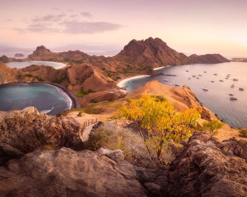 Komodo фото превью