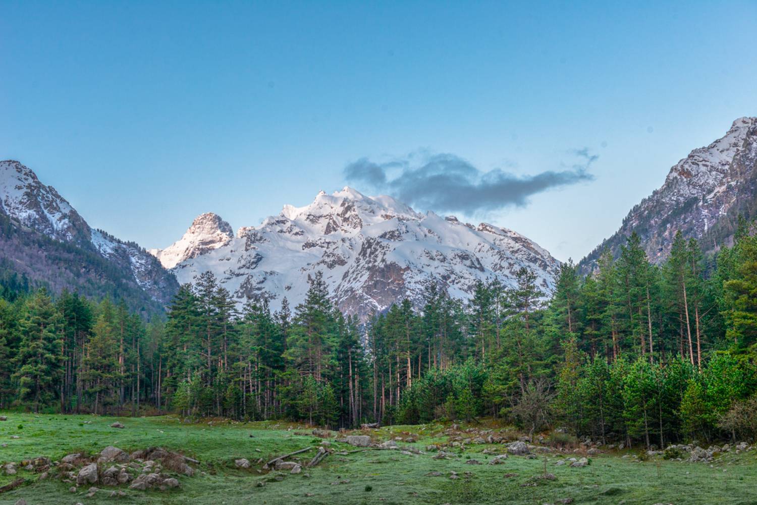 лес горы , Anatoly